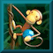 Monkey Gems
