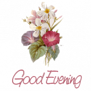 :Good-Evening-PNG-180x180-1604759049: